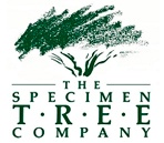 Specimen Tree Company