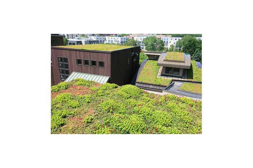 LiveRoof is an instant invisible modular green roof system.