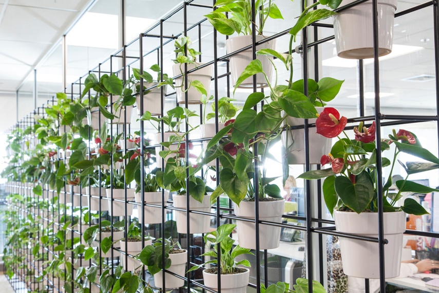 GreenAir Stacked Plant Wall as a wall divider