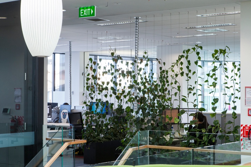 Internal Green Facade as a wall divider by GreenAir