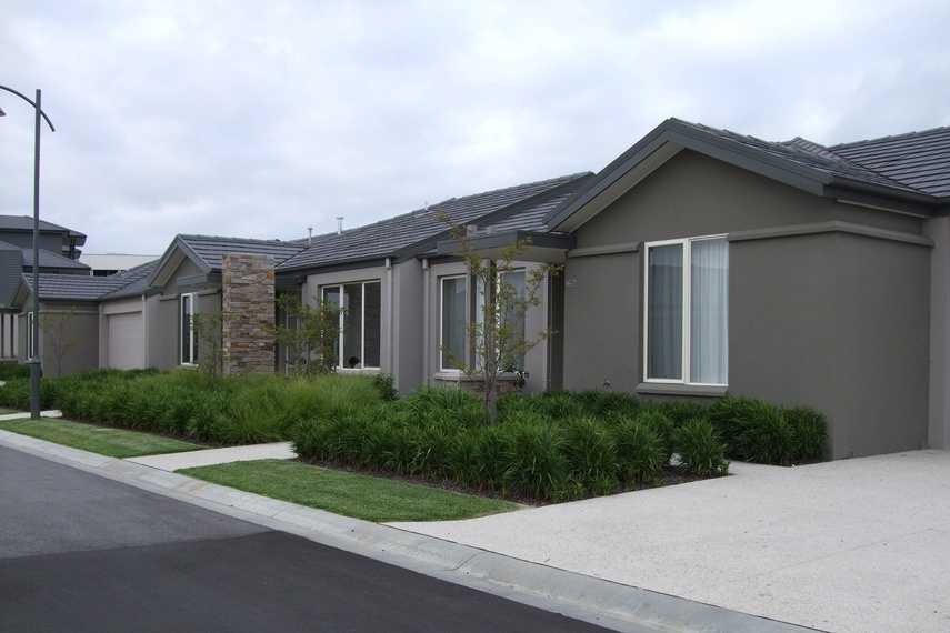 It looks great in commercial and residential plantings