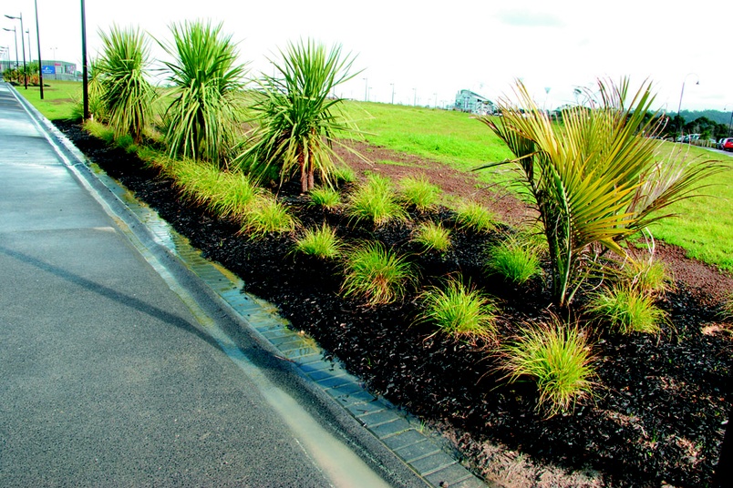 Rain garden mix by Living Earth Selector